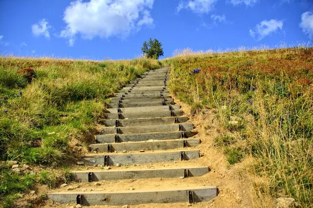 Najpopularniejsze szlaki piesze w Bieszczadach - przewodnik dla entuzjastów trekkingu