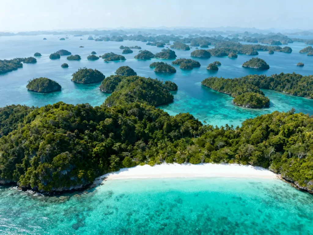 Widok z lotu ptaka na rozległy archipelag z tysiącami zielonych wysp otoczonych turkusową wodą oceanu.